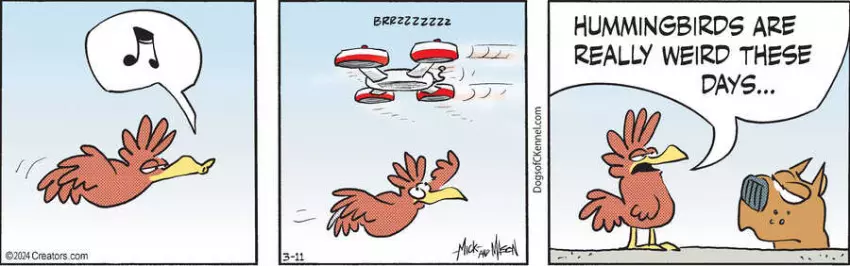 Dogs of C-Kennel for Mar 11, 2024