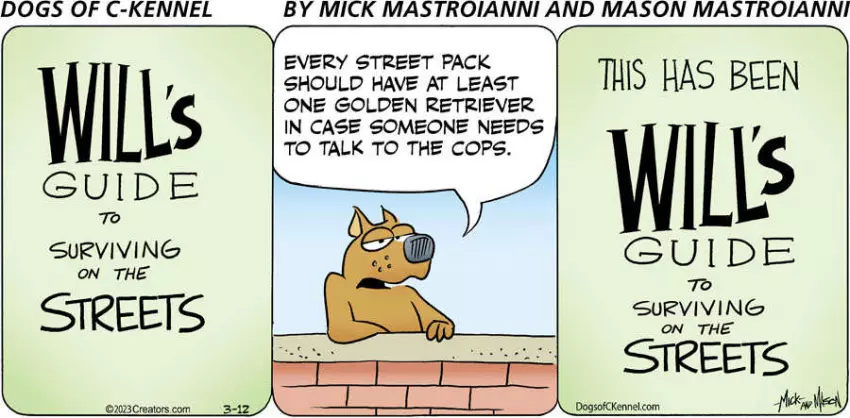 Dogs of C-Kennel for Mar 12, 2023