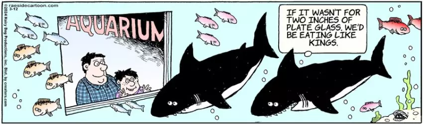 The Other Coast for Mar 12, 2024