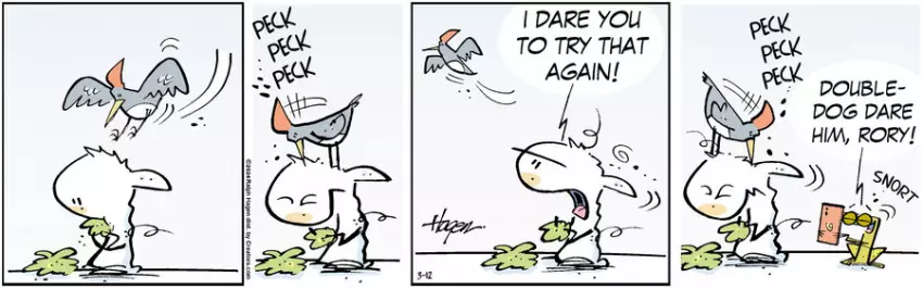 The Barn for Mar 12, 2024