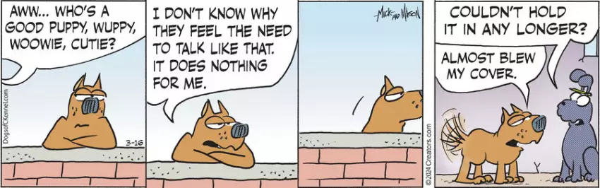 Dogs of C-Kennel for Mar 16, 2024