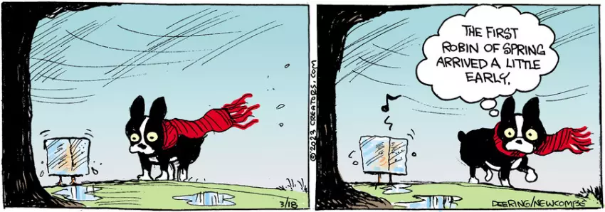 Zack Hill for Mar 18, 2023