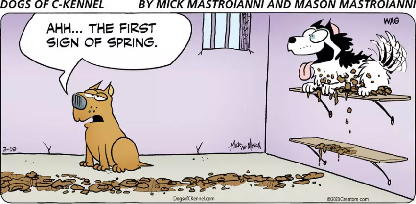 Dogs of C-Kennel for Mar 19, 2023