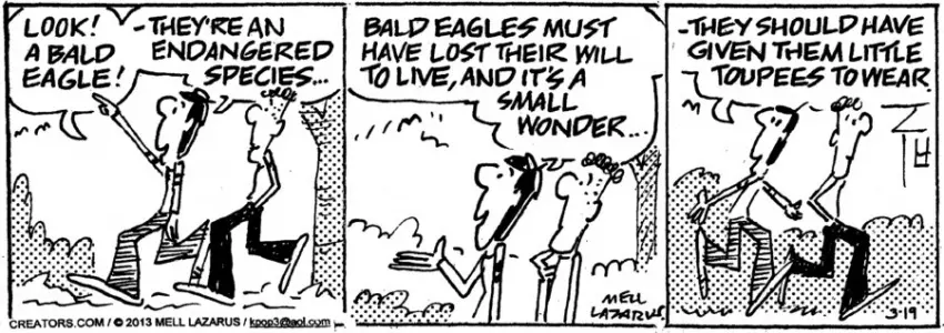 Momma for Mar 19, 2024