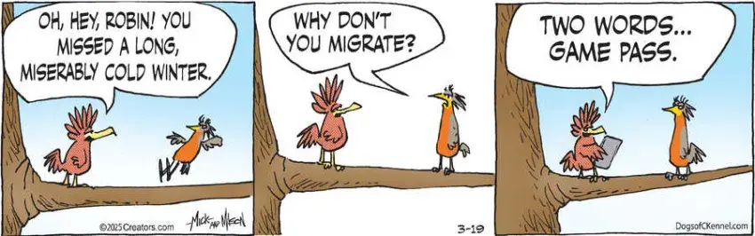 Dogs of C-Kennel for Mar 19, 2025