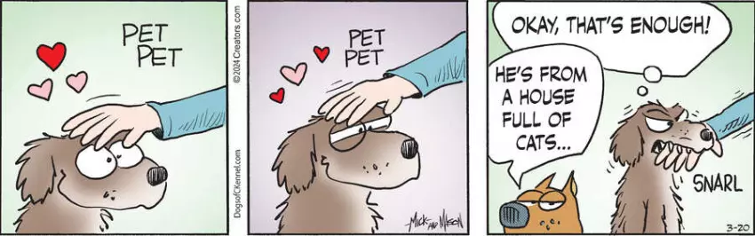 Dogs of C-Kennel for Mar 20, 2024