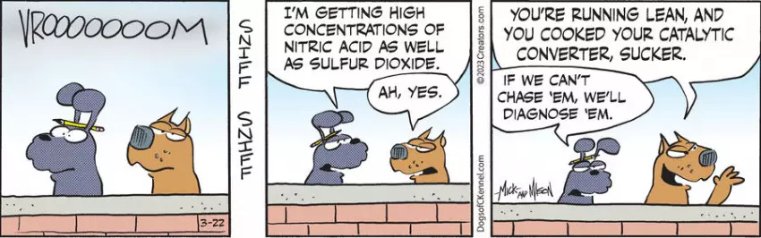 Dogs of C-Kennel for Mar 22, 2023