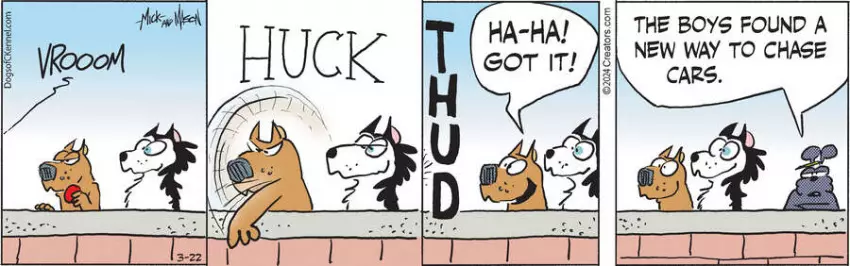 Dogs of C-Kennel for Mar 22, 2024