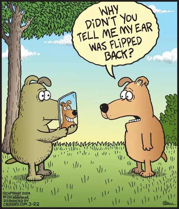 Free Range for Mar 22, 2024