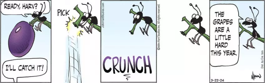 B.C. for Mar 22, 2024