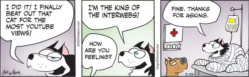 Dogs of C-Kennel for Mar 23, 2023