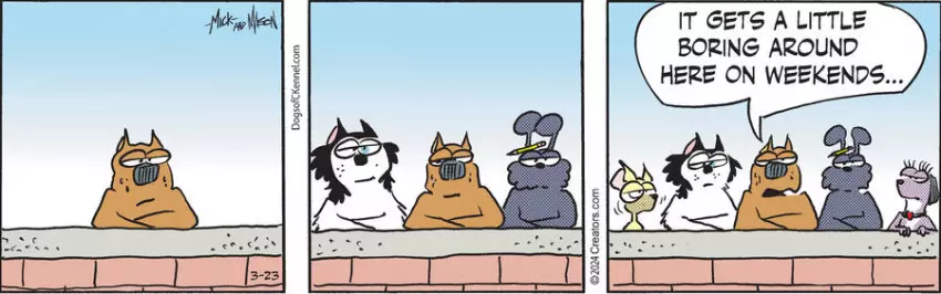 Dogs of C-Kennel for Mar 23, 2024