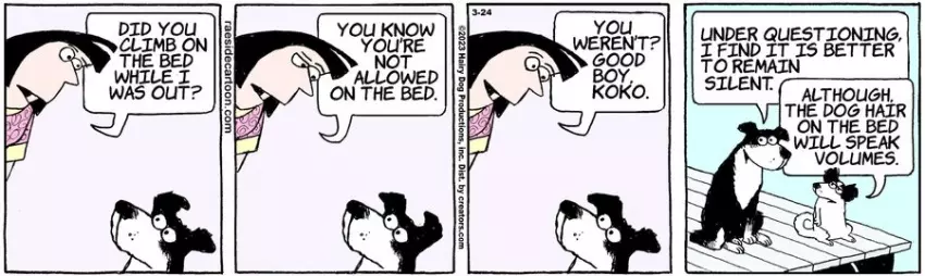 The Other Coast for Mar 24, 2023