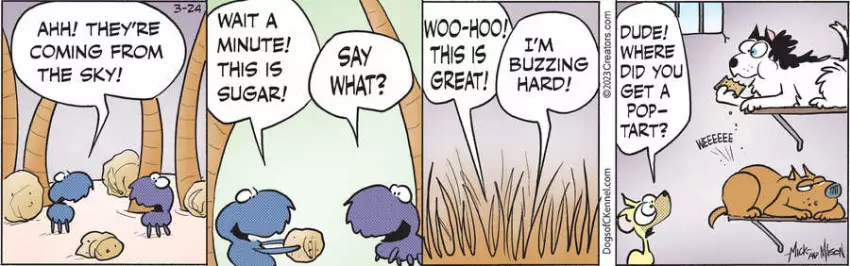 Dogs of C-Kennel for Mar 24, 2023