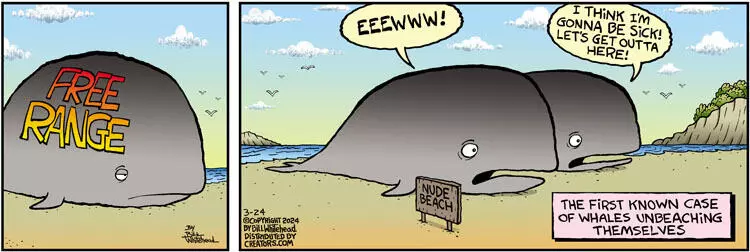 Free Range for Mar 24, 2024