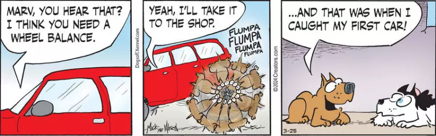 Dogs of C-Kennel for Mar 25, 2024