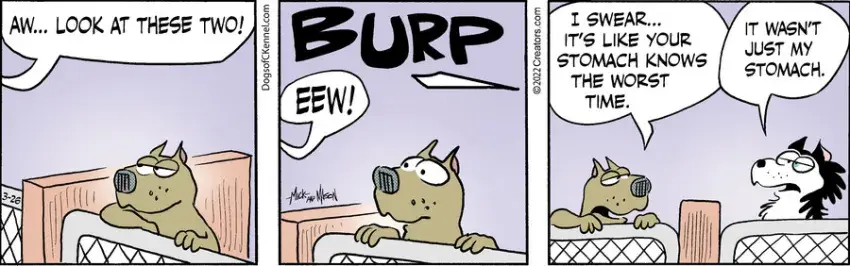 Dogs of C-Kennel for Mar 26, 2022