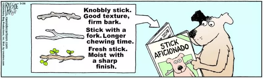 The Other Coast for Mar 26, 2024