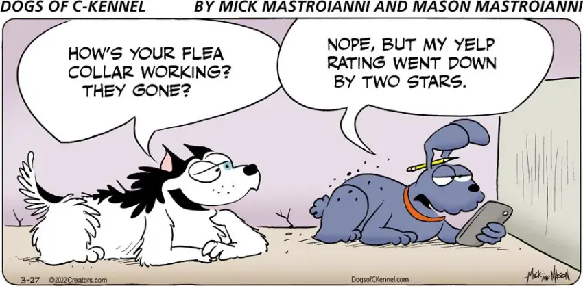 Dogs of C-Kennel for Mar 27, 2022
