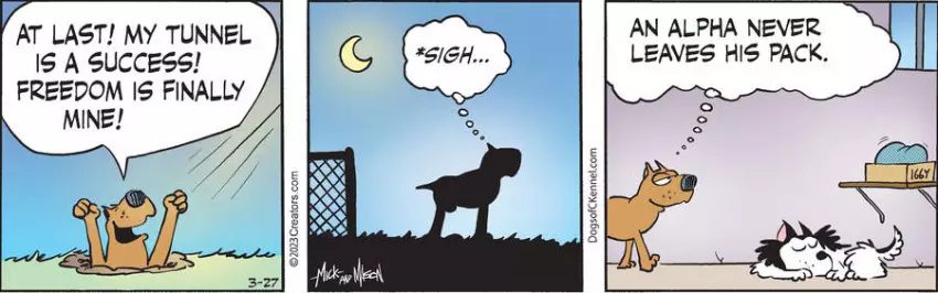 Dogs of C-Kennel for Mar 27, 2023