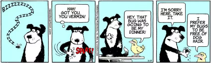 The Other Coast for Mar 27, 2024