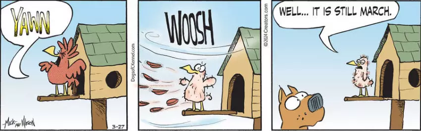 Dogs of C-Kennel for Mar 27, 2024