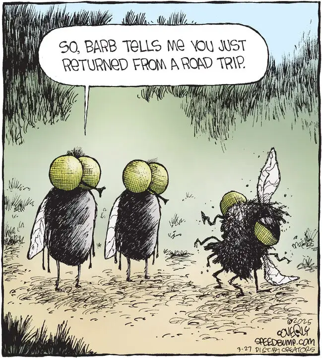 Speed Bump for Mar 27, 2025