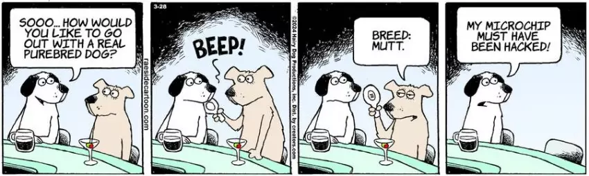 The Other Coast for Mar 28, 2024