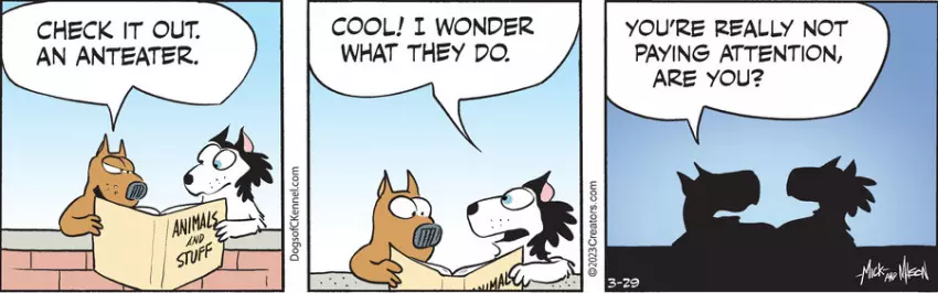 Dogs of C-Kennel for Mar 29, 2023