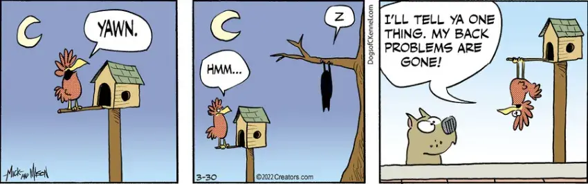 Dogs of C-Kennel for Mar 30, 2022