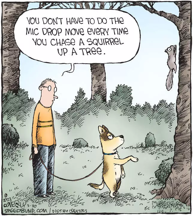 Speed Bump for Mar 30, 2023