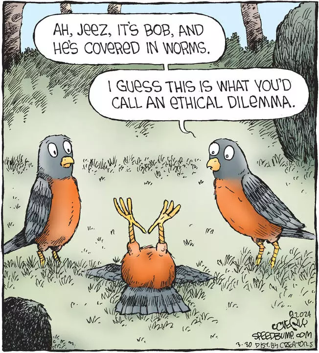 Speed Bump for Mar 30, 2024