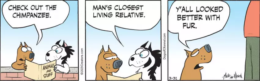 Dogs of C-Kennel for Mar 31, 2023