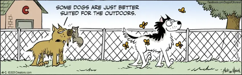 Dogs of C-Kennel for Apr 01, 2021