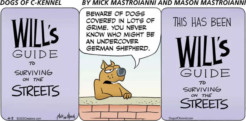 Dogs of C-Kennel for Apr 02, 2023