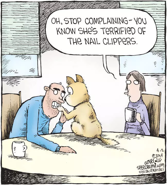 Speed Bump for Apr 02, 2024