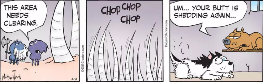 Dogs of C-Kennel for Apr 02, 2024