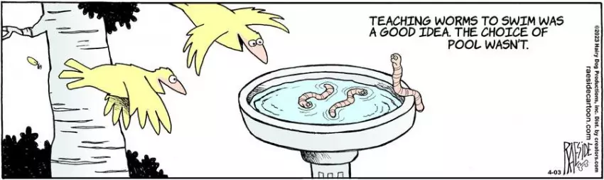 The Other Coast for Apr 03, 2023