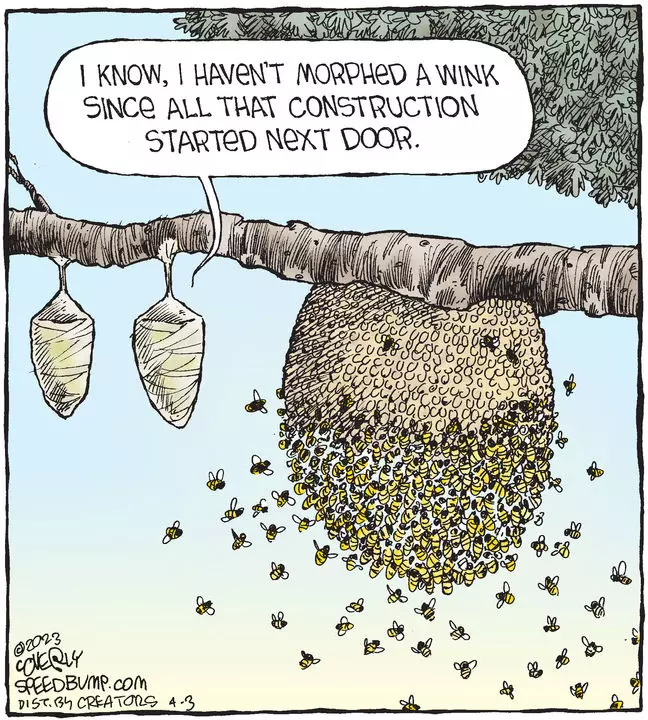 Speed Bump for Apr 03, 2023