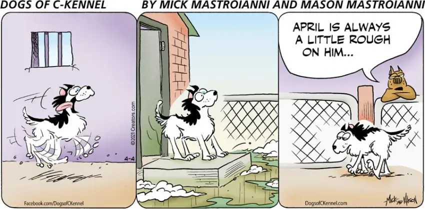 Dogs of C-Kennel for Apr 04, 2021