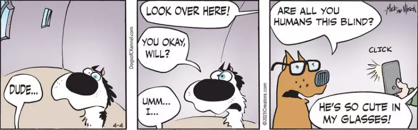 Dogs of C-Kennel for Apr 04, 2023