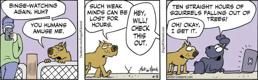 Dogs of C-Kennel for Apr 05, 2021
