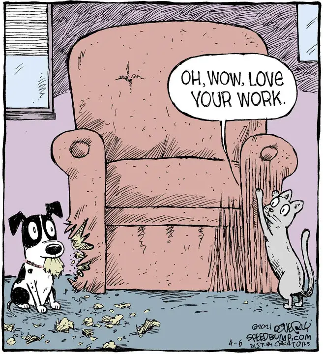 Speed Bump for Apr 06, 2021