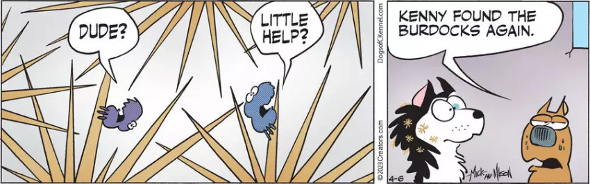 Dogs of C-Kennel for Apr 06, 2023