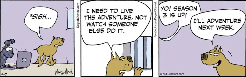 Dogs of C-Kennel for Apr 07, 2021