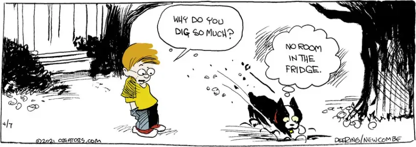 Zack Hill for Apr 07, 2021