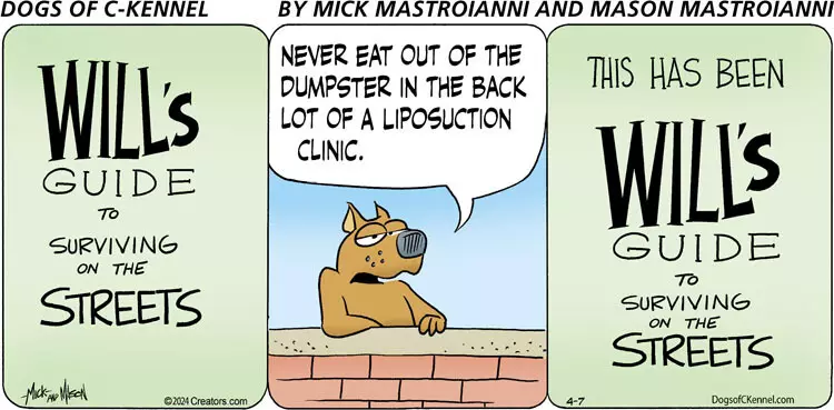 Dogs of C-Kennel for Apr 07, 2024