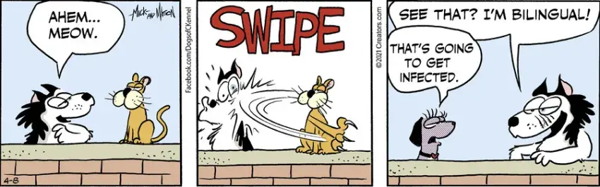 Dogs of C-Kennel for Apr 08, 2021