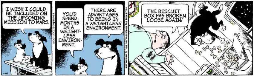 The Other Coast for Apr 08, 2023