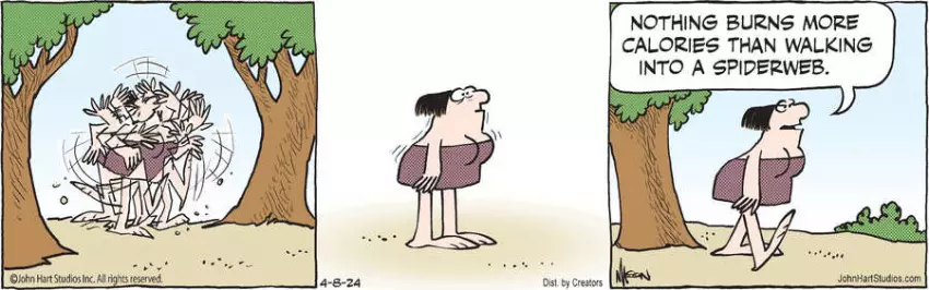 B.C. for Apr 08, 2024